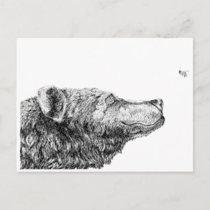 Carte Postale Nécessités d'ours par Inkspot