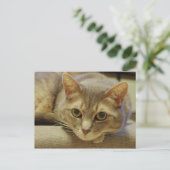 Carte Postale Nedda (Debout devant)