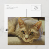 Carte Postale Nedda (Devant / Derrière)