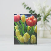 Carte postale néerlandaise Tulips (Debout devant)