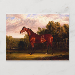 Carte Postale Négociateur