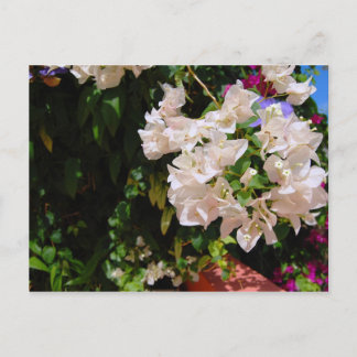 Carte Postale Negril, Jamaïque