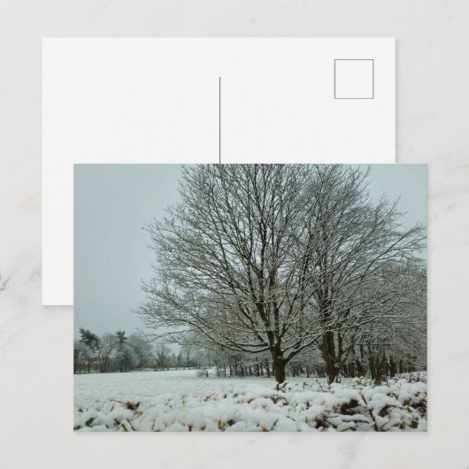 Carte Postale Neige (Devant / Derrière)