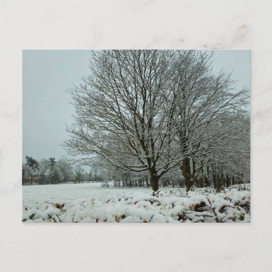 Carte Postale Neige (Devant)