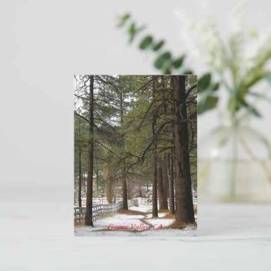 Carte postale Neige à Noël (Debout devant)