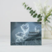 Carte Postale Neige Bleue (Debout devant)