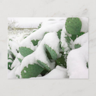 Carte Postale Neige dans le désert