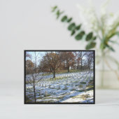 Carte Postale neige d'Arlington (Debout devant)