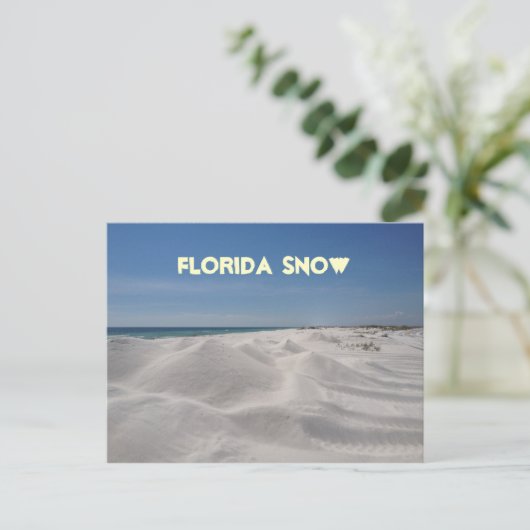 Carte Postale Neige de Floride (Debout devant)