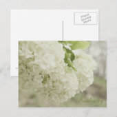 Carte Postale Neige d'été par JerseyFawn (Devant / Derrière)