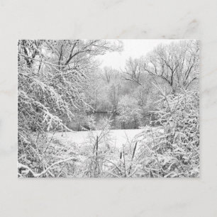 Carte Postale Neige D'Hiver À Huron River