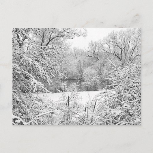 Carte Postale Neige D'Hiver À Huron River (Devant)