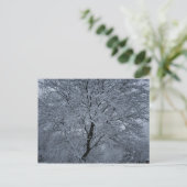 Carte Postale Neige d'hiver sur un arbre (Debout devant)