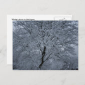 Carte Postale Neige d'hiver sur un arbre (Devant / Derrière)