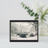 Carte Postale neige du parc central (Debout devant)