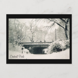 Carte Postale neige du parc central