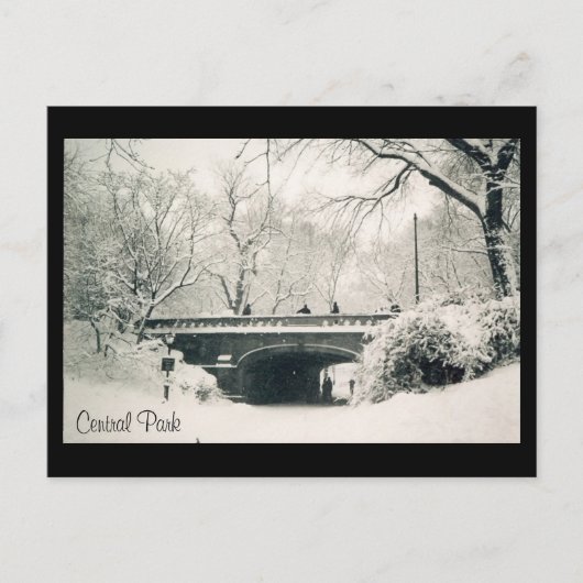 Carte Postale neige du parc central (Devant)