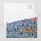 Carte Postale Neige en automne (Devant / Derrière)