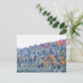 Carte Postale Neige en automne (Debout devant)