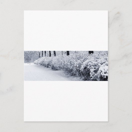 Carte Postale Neige en Suède (Devant)