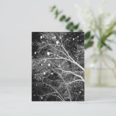 Carte Postale Neige Entre Branches (Debout devant)