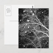 Carte Postale Neige Entre Branches (Devant / Derrière)