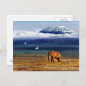 Carte Postale Neige et aigrettes d'ivoire (Devant / Derrière)