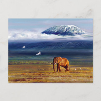 Carte Postale Neige et aigrettes d'ivoire