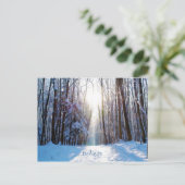 Carte Postale Neige et arbres avec poutres de soleil (Debout devant)