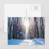 Carte Postale Neige et arbres avec poutres de soleil (Devant / Derrière)