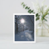 Carte Postale Neige et lumière (Debout devant)