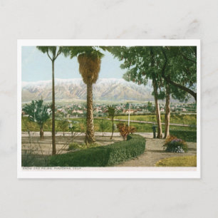 Carte Postale Neige et Palmiers, Pasadena CA Vintage