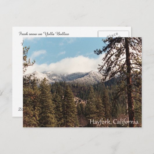 Carte Postale Neige fraîche sur Yolla Bollies... (Devant / Derrière)