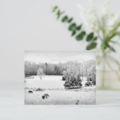 Carte Postale Neige fraîche tombée au ranch du cheval (Debout devant)