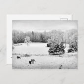 Carte Postale Neige fraîche tombée au ranch du cheval (Devant / Derrière)