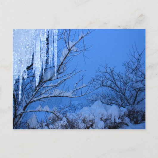 Carte Postale Neige - hiver (Devant)