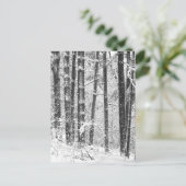 Carte Postale Neige hivernale (Debout devant)
