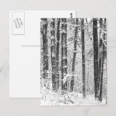 Carte Postale Neige hivernale (Devant / Derrière)