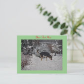 Carte Postale Neige hivernale scène avec mignon chien noir et br (Debout devant)