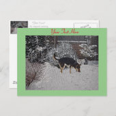 Carte Postale Neige hivernale scène avec mignon chien noir et br (Devant / Derrière)