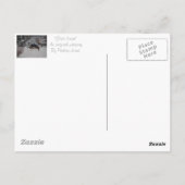 Carte Postale Neige hivernale scène avec mignon chien noir et br (Dos)