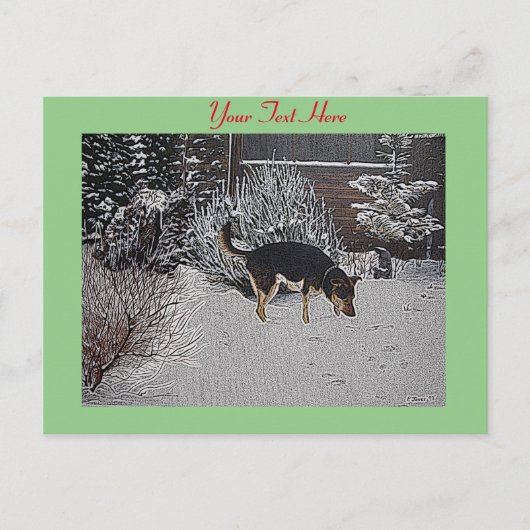 Carte Postale Neige hivernale scène avec mignon chien noir et br (Devant)