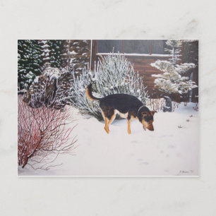 Carte Postale Neige hivernale scène avec mignon chien noir et br