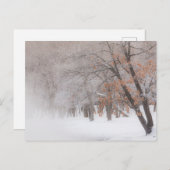 Carte Postale Neige | Lac Kussharo (Devant / Derrière)