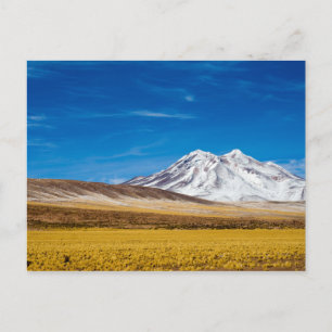 Carte Postale Neige - Montagnes Enneigées Et Puna Grassland