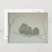 Carte Postale Neige sous (Devant / Derrière)