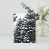 Carte Postale Neige Sur Les Firs (Debout devant)