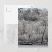Carte Postale Neige Sur L'Étang (Devant / Derrière)