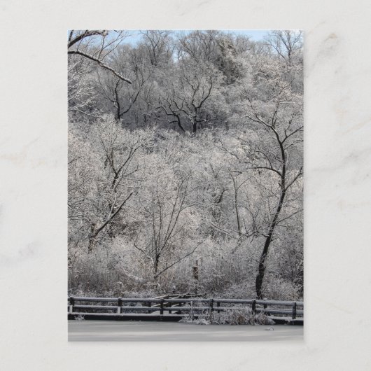 Carte Postale Neige Sur L'Étang (Devant)