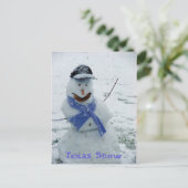 Carte Postale Neige Texas (Debout devant)